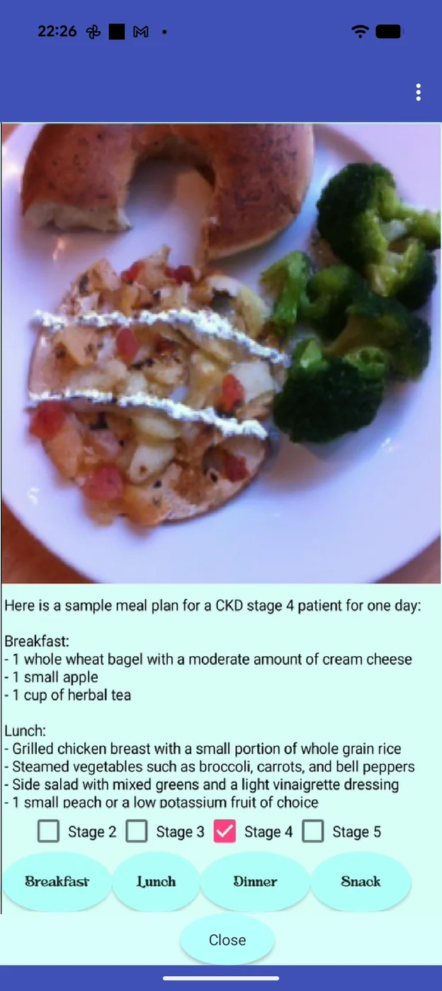 Version 2 Kidney Buddy meal-planning screen