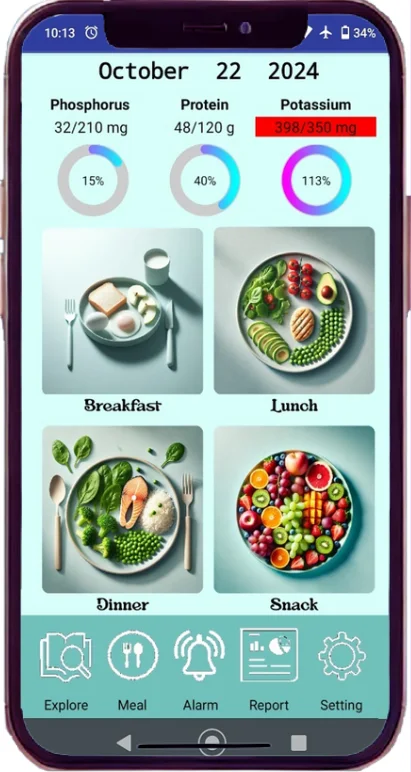 Version 3 Kidney Buddy meal dashboard