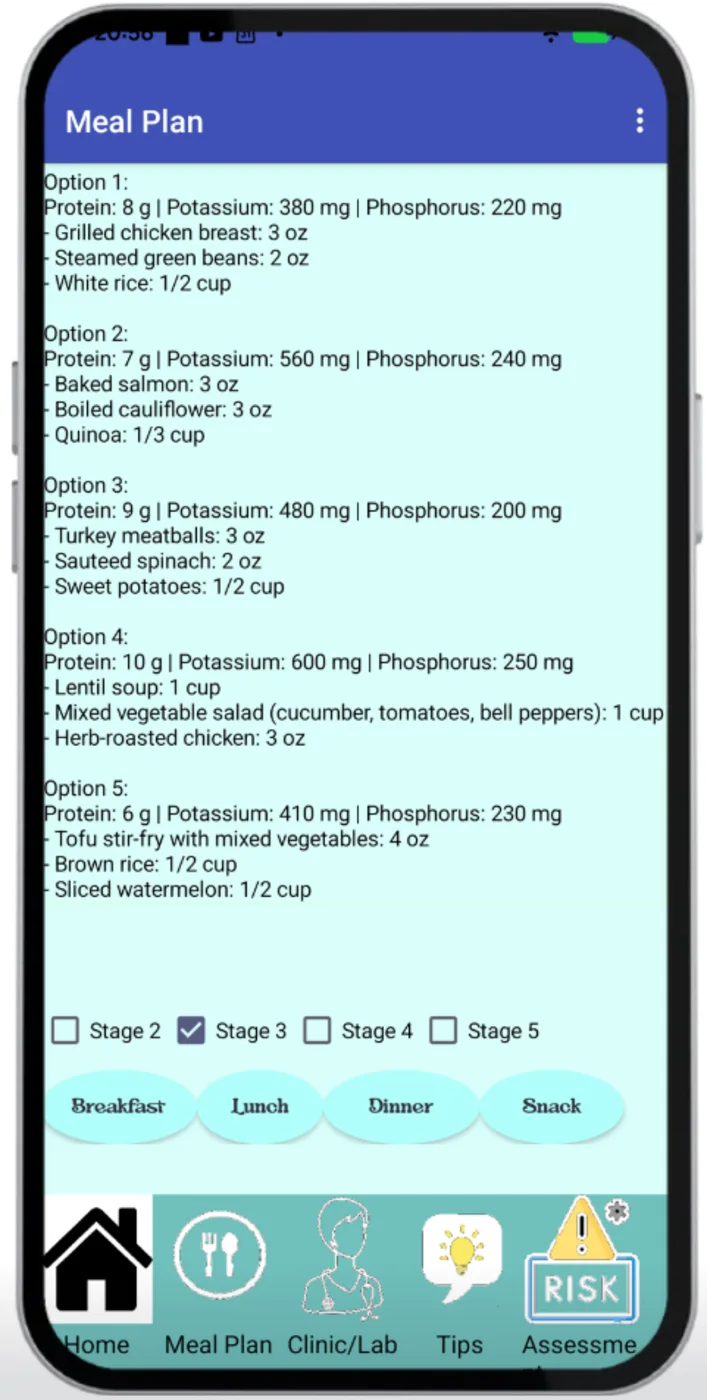 Version 4 Android Kidney Buddy meal plan screen
